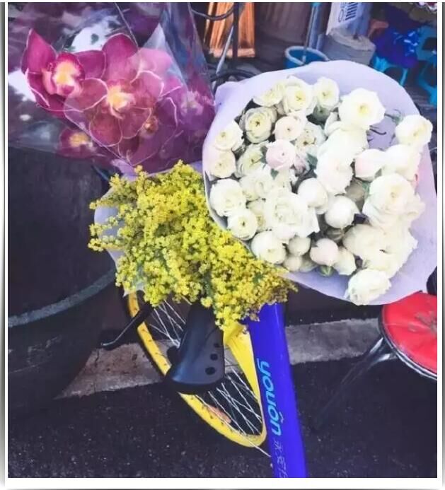 6368003147759200004249219.jpg 6368003147759200004249219.jpg